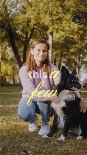 Master Dog Relaxation Command