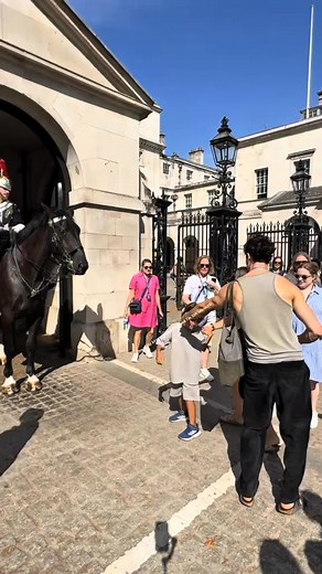 11K views · 211 reactions | **Kings Guard: Step Outside the Box! ✨** **Filmed on:** 12 August 2025 ️ **Temperature:** 26°C 裸  **Location:** Horse Guard Parade ️ #KingsGuard #OutsideTheBox #EmbraceTheUnexpected #Tiktok | The King's Horse Guards London | Facebook