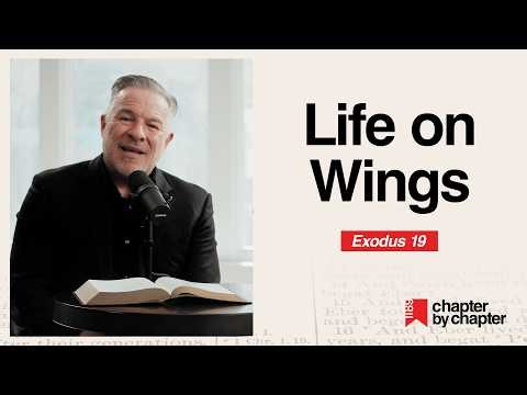 Exodus 19: Life on Wings