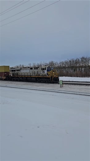 cn 2795 intermodal #cn #railway #train #railfaning