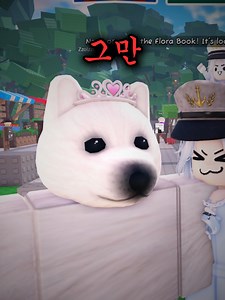로블록스 하다가 팬을 만났는데, 레전드 상황 발생ㅋㅋㅋㅋㅋ | Roblox