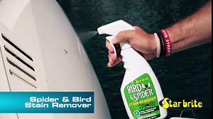 STAR BRITE Spider & Bird Stain Remover Spray - Quickly Dissolve Bird Droppings & Clean up Spider Mess - Won't Remove Polish or Wax (095122SS)
