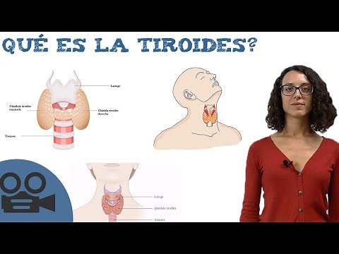 Qué es la tiroides