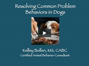 Resolving Common Problem Behaviors in Dogs