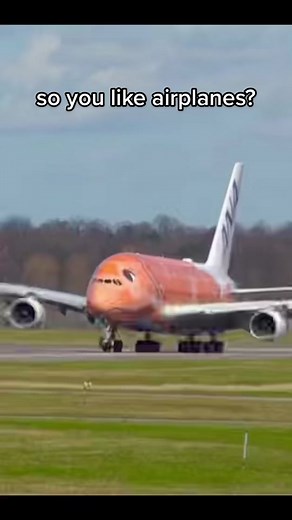 MileHigh Aviation on TikTok