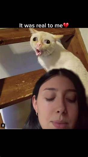 Hilarious Baby Coughing Meme Compilation