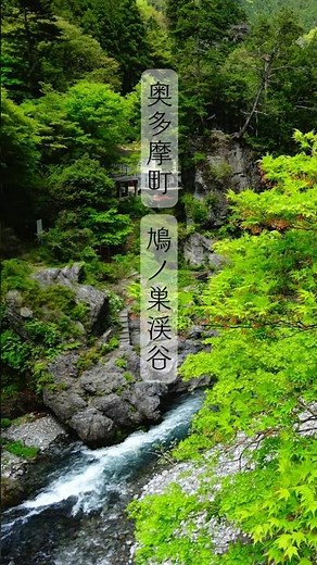 #鳩ノ巣渓谷 #奥多摩 #多摩 #東京 #ハイキング #春