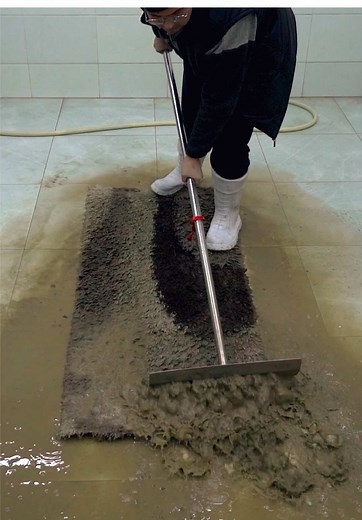 Expert Carpet Cleaning Techniques for a Fresh Home