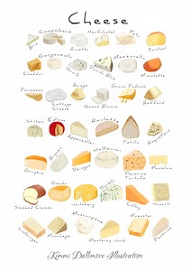 Cheese Chart Art Print: Food Wall Decor, Kitchen Illustration (A3) - Etsy UK