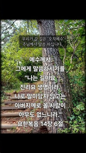 [0801 기도] 오늘 집을 나가기 전 기도합니다. #기도 #말씀 #요한복음 #묵상