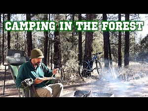 Camping in the Forest - Arizona VanLife 02/22