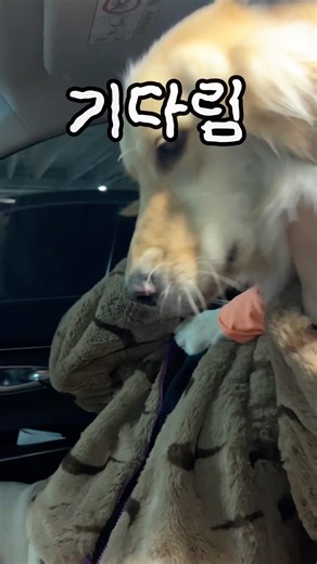 나 혼자 두지 말랬지!!! 분노핑 솔찬히