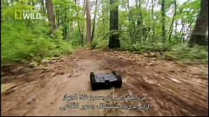 Discovery channel animals documentary - King Cobras - Nature documentary films HD Animal p