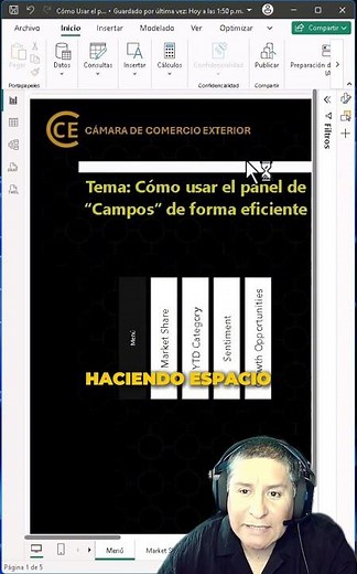 How to use the Fields Panel in Power BI?