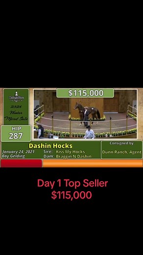 26K views · 399 reactions | ✨Top 5 sellers from day 1 of the 2024 Heritage Place Winter Mixed Sale✨ heritageplace.com #heritageplacewintermixedsale #wherechampionsaresold #horsesale #horseauction #oklahomacity #okc #horseracing #barrelhorse #aqha #aphc #apha #thoroughbred | Heritage Place | Facebook