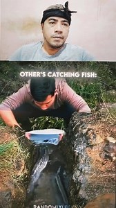 The ending was a surprise #catching #fishtrapping #fishtypes #ornamentalfish #AugustR | August R