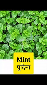 2.2M views · 52K reactions | Learn Nepali to English Words.. #viralreelschallenge2025viralreelschallengejaiviralreelschallengeviralreelschallenge #viralpost2025シ #viralvideoシ #englishlearningreels #englishlesson #viralvideochallenge | English Bhasha | Facebook