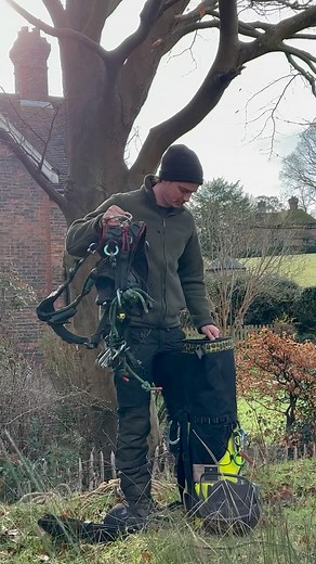 39K views · 311 reactions | Little beech reduction. This tree had...