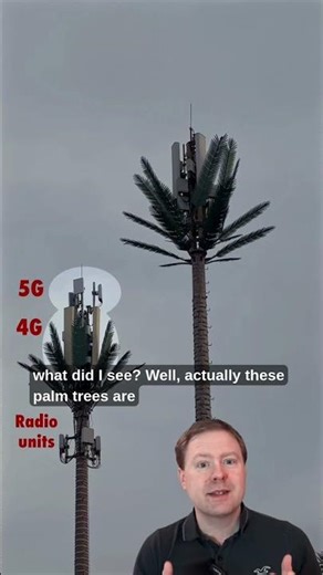 Wait, are those palm trees 5G towers?