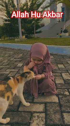 Allah Hu Akbar #memes #allahhuakbar #funny #islamicphrase #birds #love #islamicprayer #animals