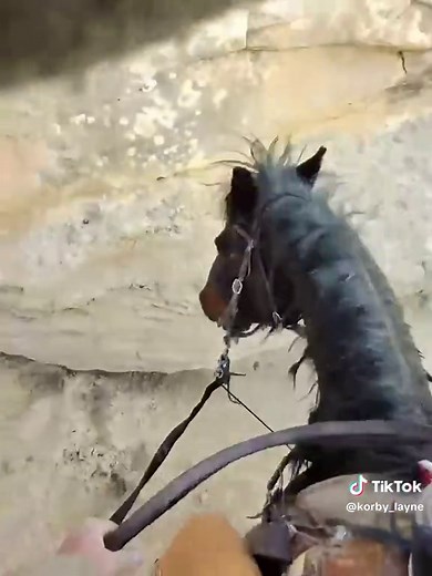 Wild Ranch Adventures: Broncs and Cowboys