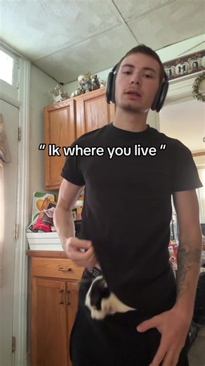 Aggressive Cat Behavior: What to Do When Your Cat Seems Threatening