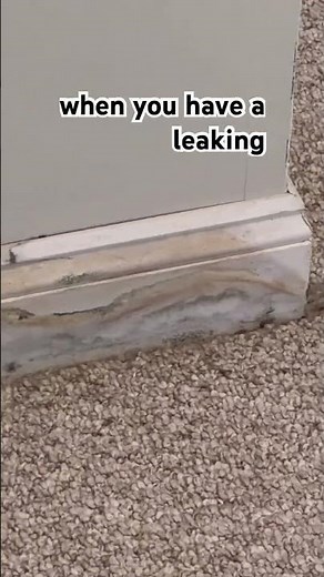 Don’t Ignore Discolored Baseboards