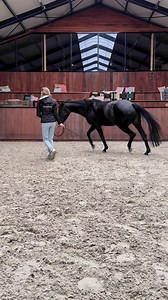 There’s something so calming about doing groundwork with horses…🖤 Do you get that feeling?🫶🏽 I wanted to upload the new Academy video for you today, (it’s another one of the On tour problem solving series with the horse we met in Denmark 😍👏🏼). But I can’t find the time today🙈 so it will have to wait till tomorrow 👏🏼 It’s worth the wait though 😏🍿 And instead I turned this one into a reel for today 😛😄Follow my Groundwork Course at www.featherlightacademy.com 🤎 | Feather Light Horsema