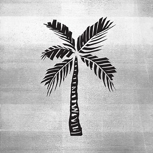 Palm Tree Vector / Beach Clipart / Arte imprimible / DIY Craft / Silueta / SVG Palm Tree Vector / Diseño gráfico / Beach SVG - Etsy México