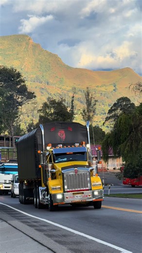 Kenworth T-800 Day Cab: A Truck Passion Experience