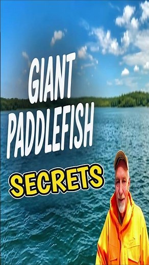 This Paddlefish Technique Actually Works #fishing #satisfying