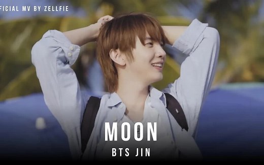 【BTS】JIN 'MOON' Official MV by Zellfie（这哥是真喜欢珍哥啊~）