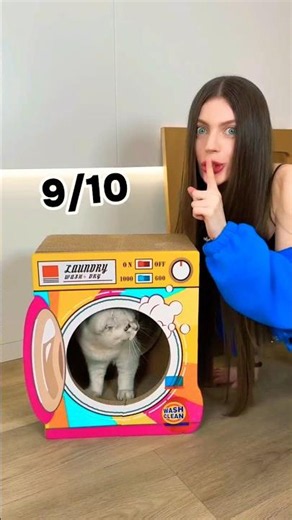 🤪 Weirdest cat bed in the world।wait for end~ hand craftswood woodworking art skill #shorts
