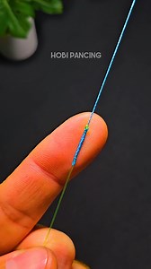 45K views · 3.3K reactions | Ultimate Fishing Trick! Tie the GT Knot Like a Pro #fishing #fishingknot #tutorials #gtknot #viralvídeos #hobipancing | Hobi Pancing Fishing Knots | Facebook