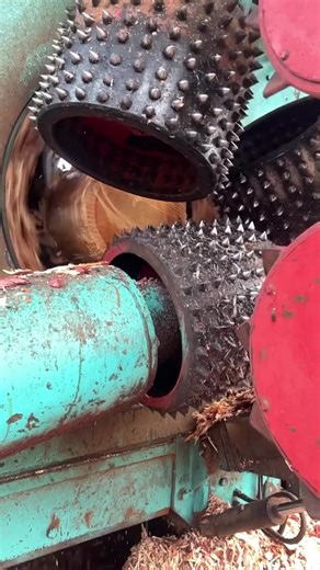 Mastering Woodslicing Techniques for Woodworkers