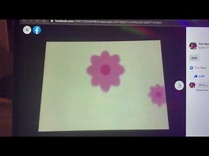 Baby Bumblebee Colors