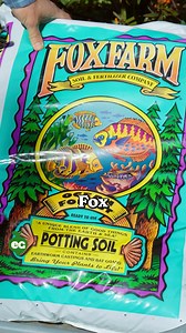 4.2K views · 64 reactions | All you need is a pot, some soil, and these tips to start your container garden. 華 | All About Gardening | Facebook