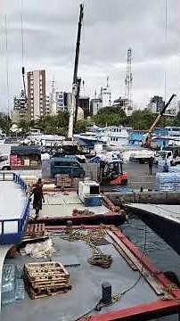 Maldives male city butterfly boats