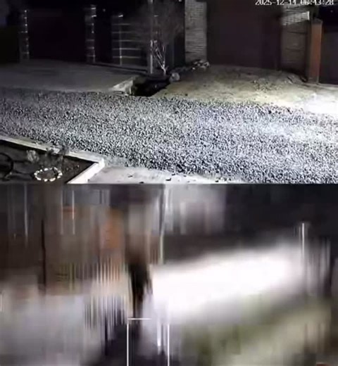 БАТАЙСКОЕ ВРЕМЯ, газета, новости on Instagram: "Батайчанка постоянно выбрасывает свой мусор на чужой участок Люди, проживающие на улице Герцена пожаловались на батайчанку, которая постоянно выбрасывает свои отходы в мусорную корзину, стоящую на их участке. Очередной такой случай произошел 14 декабря около 6:40. На кадрах видно, что женщина выкинула мусорный мешок в чужую корзину и быстро ушла по своим делам. - Вот что за люди пошли, неужели нельзя у себя мусор выбрасывать? Скорее всего, она живе