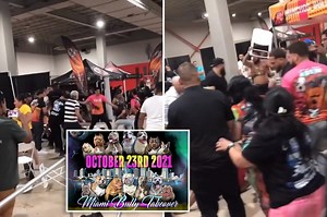Brawl Breaks Out at Miami Dog Show