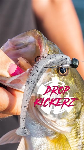 Venturing beyond the bounds of tradition, the new Z-Man® Drop KickerZ™ endows creative anglers with a sneaky little finesse trick—an extra supple baitfish-profile exhibiting equal talents as a soft jerkbait, swimbait or forward-facing sonar minnow. #dropkickerZ Discover the Drop KickerZ at the 2024 ICAST show. 🎥 @cameasler | Z-Man Fishing Products