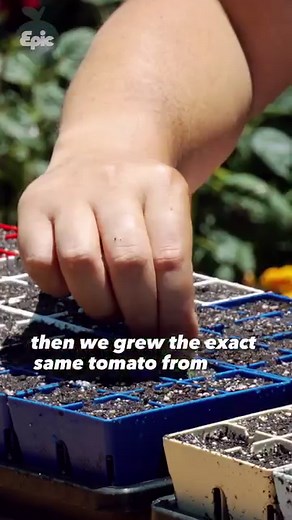 2.5M views · 27K reactions | BURYING FOOD SCRAPS is a time-honored...