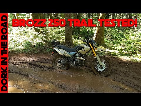 Can A Chinese Dual Sport Handle ATV Trails? Bashan Brozz 250 Off Road Trail Riding