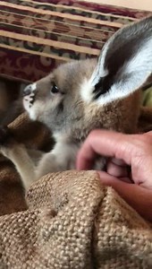 3.4K views · 56 reactions | Jason Stephenson on Reels | Facebook