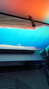 48K views · 512 reactions | Chagne Your viewing experience at home with Govee TV Backlight!  Shop now for 34% off! | GOVEE | Facebook