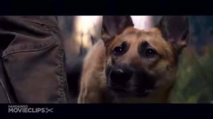 4.5K views · 52 reactions | I Am Legend 1 10 Movie CLIP Hunting in the City 2007 | Top Best Movies | Facebook