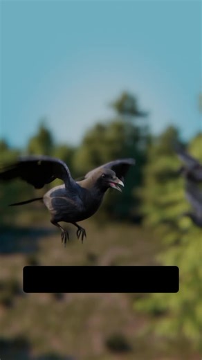 Do You Know That Ravens And Wolves Work Together In The Hunt #alberteinstein #learnontiktok #foryou #foryoupage #ugandatiktok