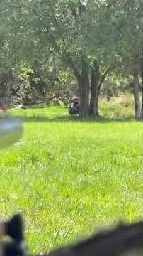 Turkey hunting with the Nukem Hunting Blinds- lightweight ground blind for mobile hunting