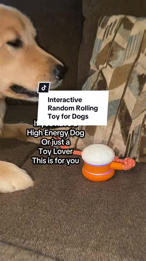 Interactive Rechargeable Dog Toy That Rolls and Rumbles