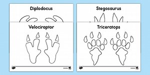 Dinosaur Footprint Templates